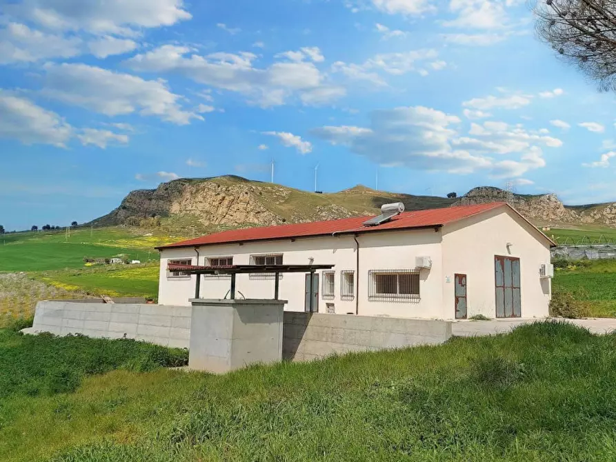 Immagine 20 di Terreno in vendita  in Contrada Feotto, N. snc a Mezzojuso