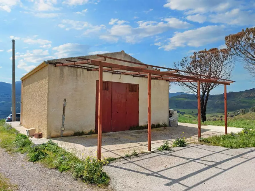 Immagine 22 di Terreno in vendita  in Contrada Feotto, N. snc a Mezzojuso