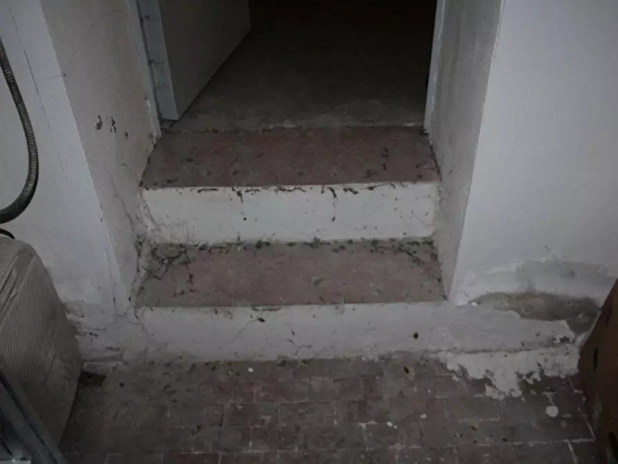 Immagine 3 di Cantina in vendita  in Viale Montegrappa, N. 278/E a Prato