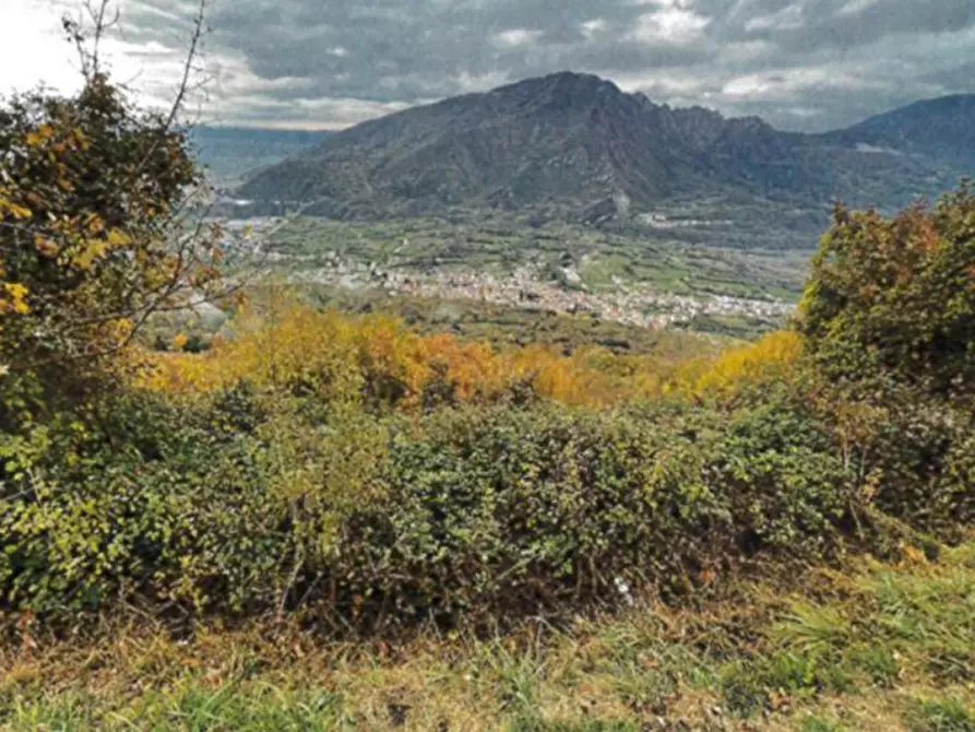 Immagine 3 di Terreno in vendita  in Monte Cengio, N. snc a Cogollo Del Cengio