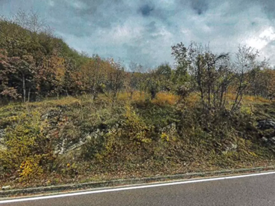 Immagine 4 di Terreno in vendita  in Monte Cengio, N. snc a Cogollo Del Cengio