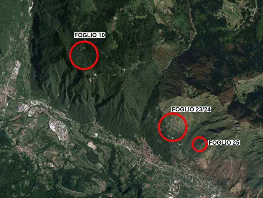 Immagine 13 di Terreno in vendita  in Monte Cengio, N. snc a Cogollo Del Cengio