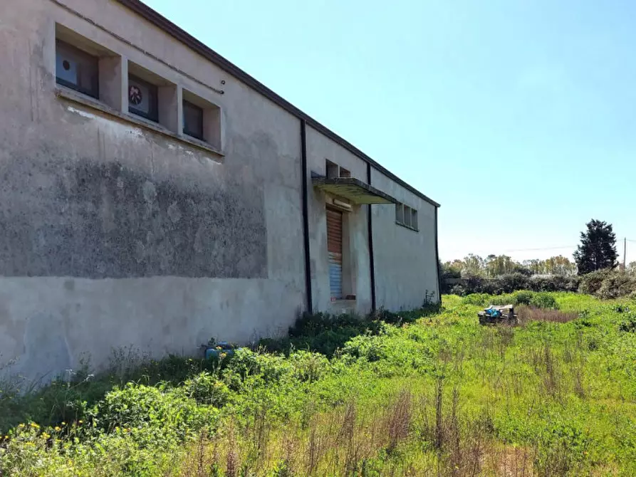 Immagine 7 di Capannone industriale in vendita  in Via Vittorio Emanuele, N. 143 a San Giovanni Suergiu