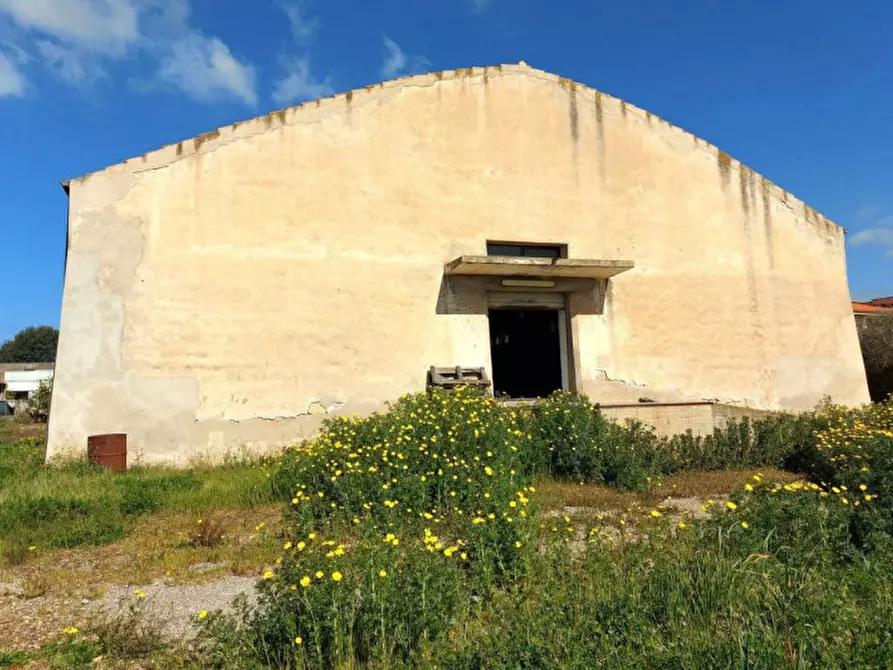 Immagine 9 di Capannone industriale in vendita  in Via Vittorio Emanuele, N. 143 a San Giovanni Suergiu