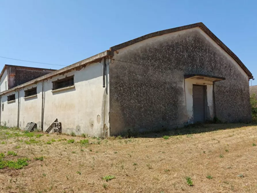 Immagine 3 di Capannone industriale in vendita  in Via Tommaseo, N. 1 a San Gavino Monreale