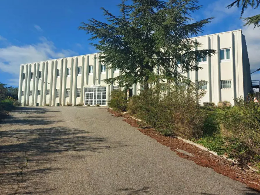 Immagine 26 di Capannone industriale in vendita  in Via Marisa Bellisario, N. 55 a Nuoro