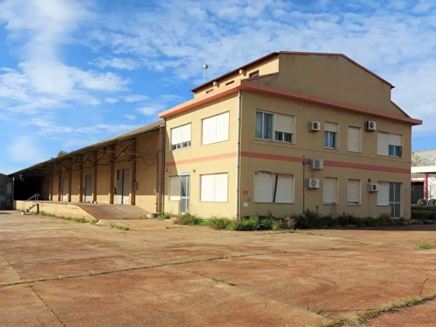 Immagine 3 di Capannone industriale in vendita  in Via Berlino, N. snc a Oristano