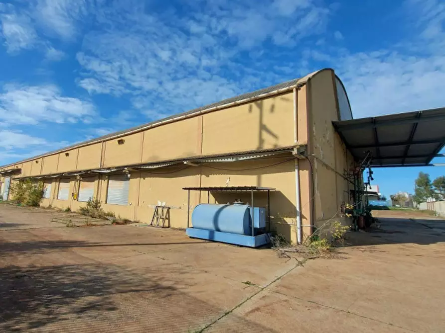 Immagine 5 di Capannone industriale in vendita  in Via Berlino, N. snc a Oristano