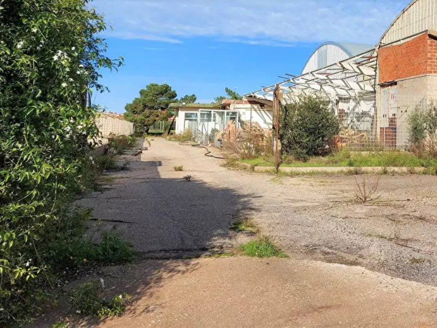 Immagine 20 di Capannone industriale in vendita  in Via Berlino, N. snc a Oristano