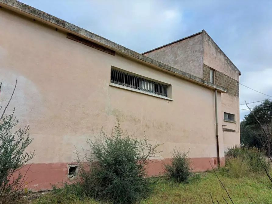 Immagine 15 di Capannone industriale in vendita  in Corso Europa, N. 93-95 a Gonnostramatza