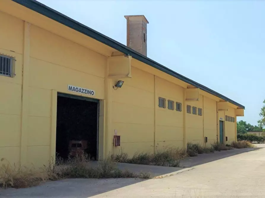 Immagine 7 di Capannone industriale in vendita  in Via Zirra, N. snc a Alghero