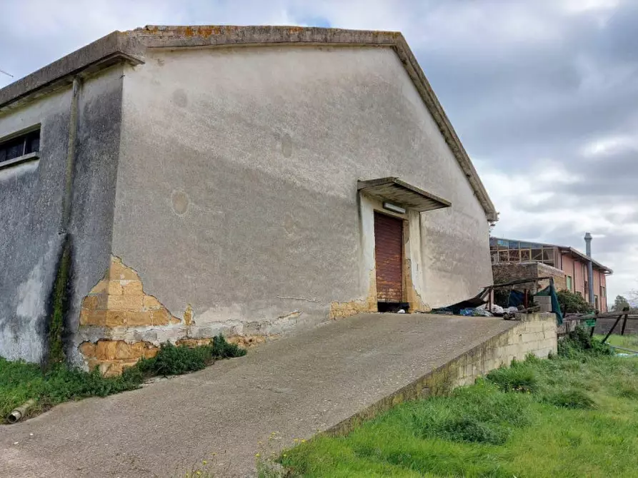 Immagine 3 di Capannone industriale in vendita  in Via Umberto I, N. 148-150 a Ales