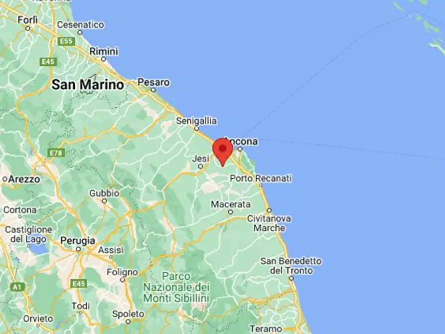 Immagine 4 di Cantina in vendita  in Via Dante Alighieri, N. snc a Polverigi