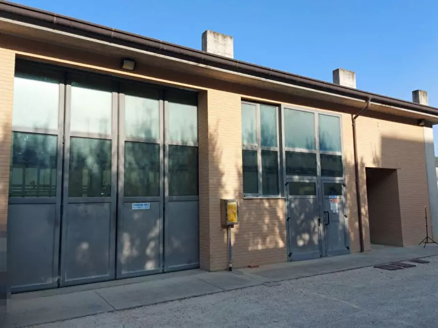 Immagine 3 di Capannone industriale in vendita  in via giorgio la pira, N. 5 a Monte San Giusto