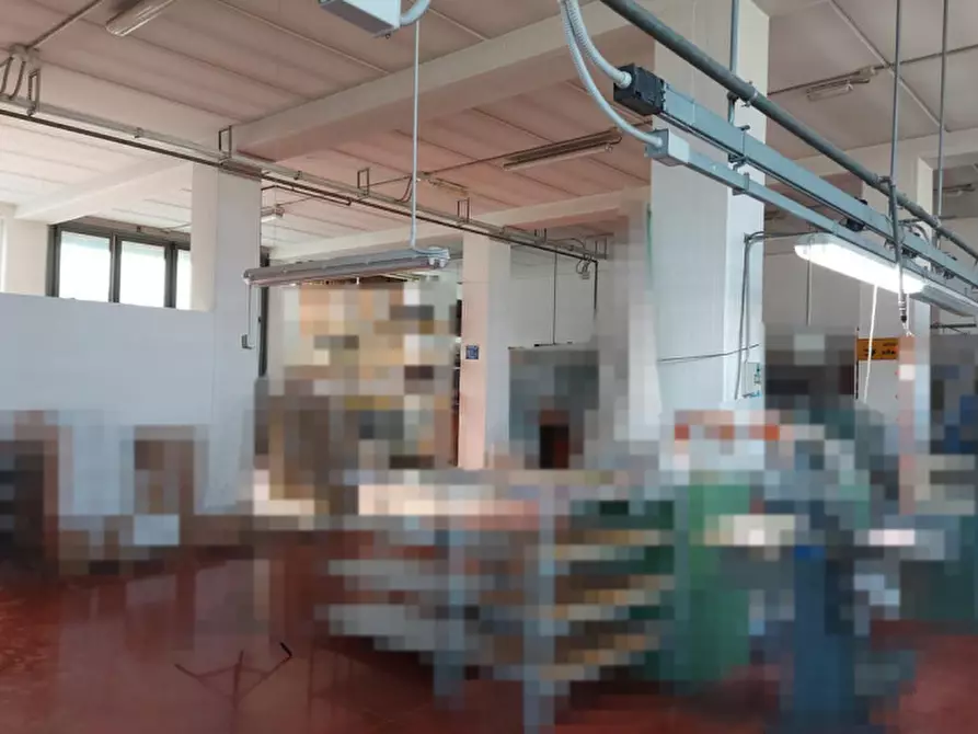Immagine 7 di Capannone industriale in vendita  in via giorgio la pira, N. 5 a Monte San Giusto