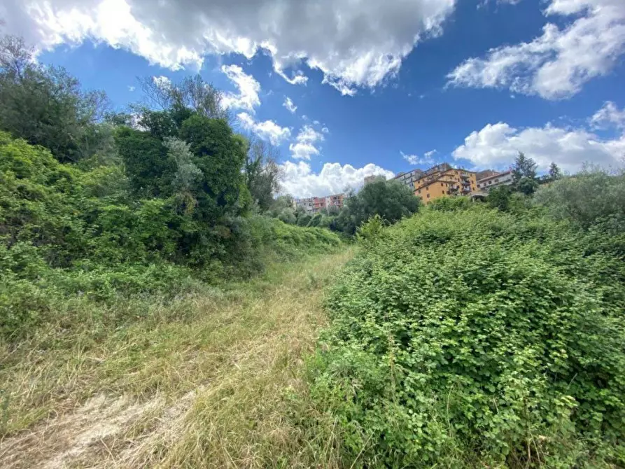 Immagine 6 di Terreno in vendita  in via della Pineta, N. snc a Castel Madama