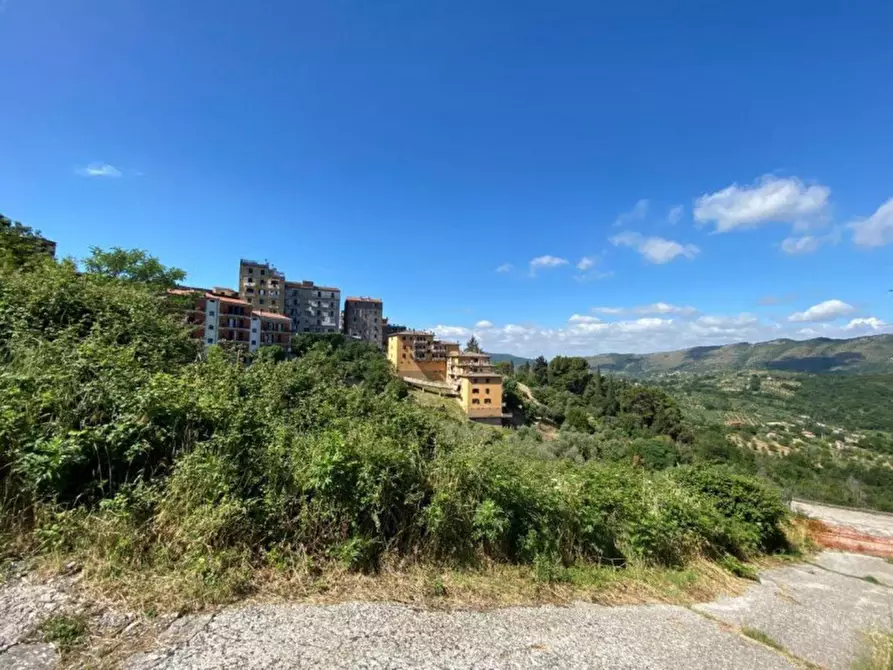 Immagine 3 di Terreno in vendita  in via della Pineta, N. snc a Castel Madama