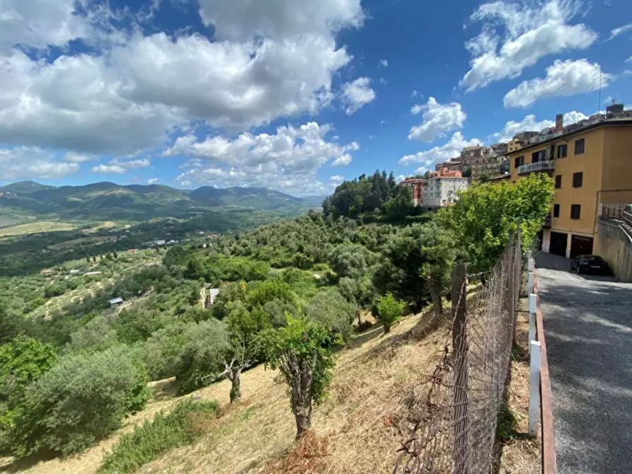 Immagine 5 di Terreno in vendita  in via della Pineta, N. snc a Castel Madama