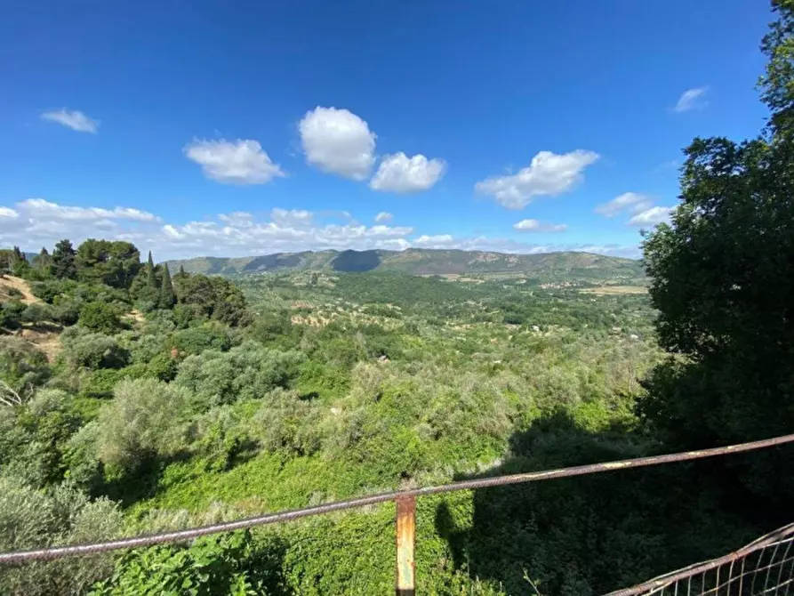 Immagine 4 di Terreno in vendita  in via della Pineta, N. snc a Castel Madama