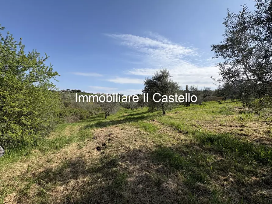 Immagine 4 di Rustico / casale in vendita  in Via Galeotti a Castiglione Del Lago
