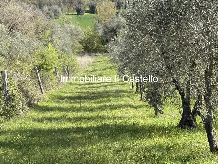 Immagine 5 di Rustico / casale in vendita  in Via Galeotti a Castiglione Del Lago
