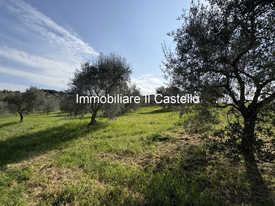 Immagine 6 di Rustico / casale in vendita  in Via Galeotti a Castiglione Del Lago
