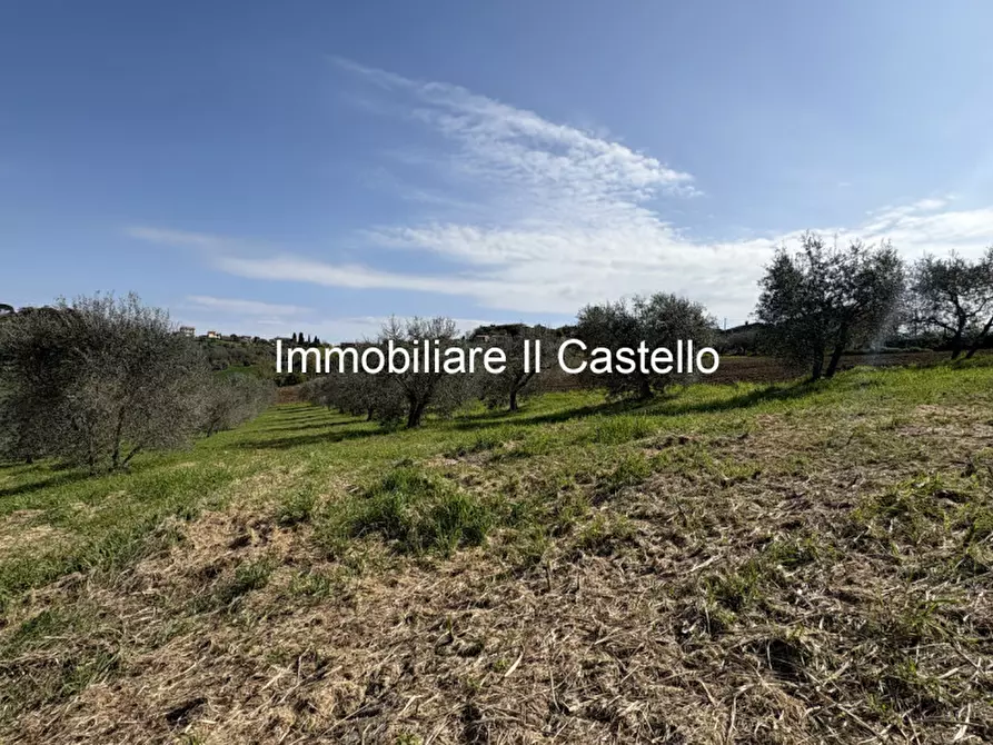 Immagine 8 di Rustico / casale in vendita  in Via Galeotti a Castiglione Del Lago
