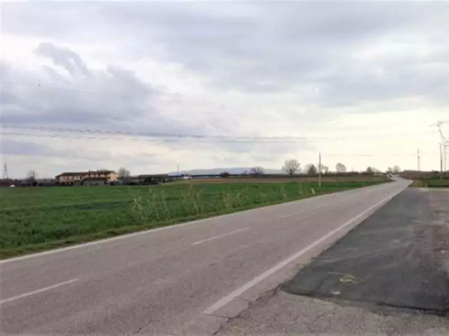 Immagine 3 di Terreno in vendita  in Loc. Palmerino, N. snc a Cascina