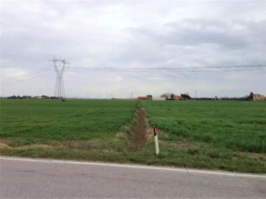 Immagine 4 di Terreno in vendita  in Loc. Palmerino, N. snc a Cascina