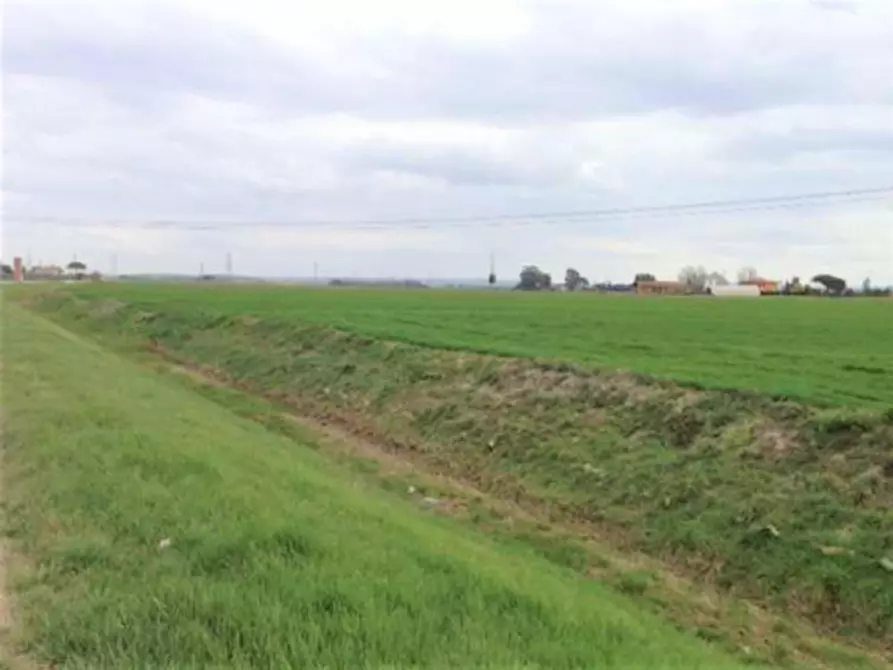 Immagine 5 di Terreno in vendita  in Loc. Palmerino, N. snc a Cascina