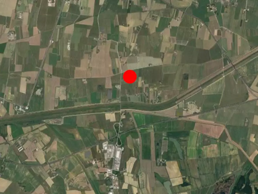 Immagine 11 di Terreno in vendita  in Loc. Palmerino, N. snc a Cascina