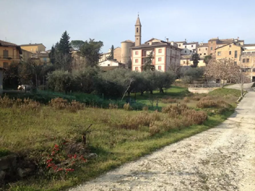 Immagine 4 di Terreno in vendita  in Via Aldo Moro, N. snc a Castelleone Di Suasa