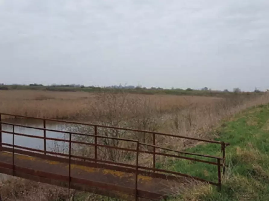 Immagine 2 di Terreno in vendita  in via Altedo, N. snc a San Pietro In Casale