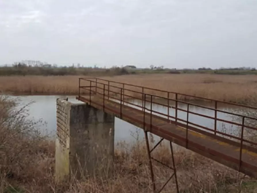 Immagine 3 di Terreno in vendita  in via Altedo, N. snc a San Pietro In Casale