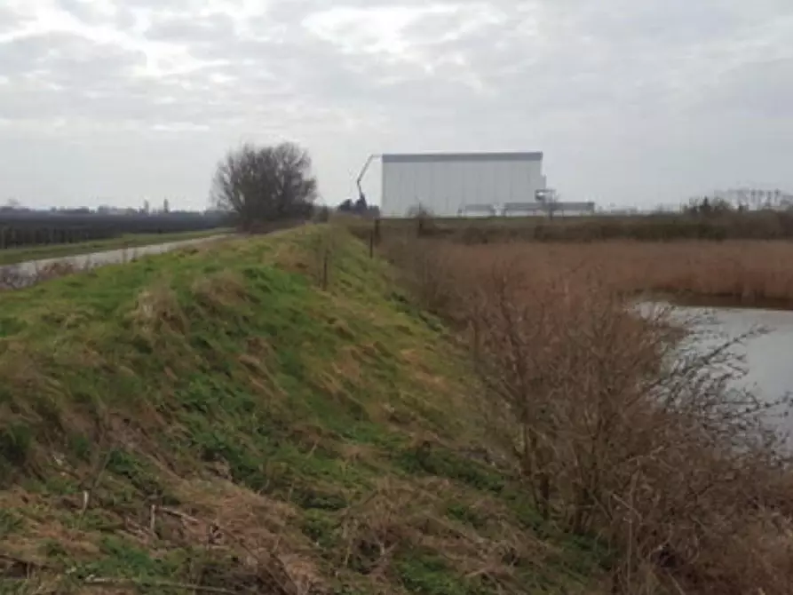 Immagine 4 di Terreno in vendita  in via Altedo, N. snc a San Pietro In Casale
