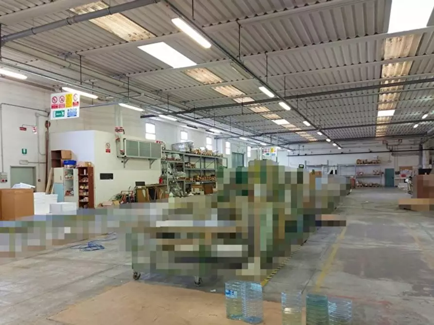 Immagine 6 di Capannone industriale in vendita  in Via Toscana, N. 32 a Monsano