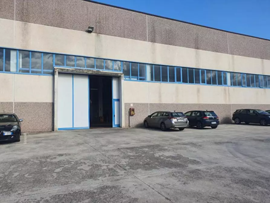 Immagine 2 di Capannone industriale in vendita  in località Sarrottino, N. snc a Tiriolo