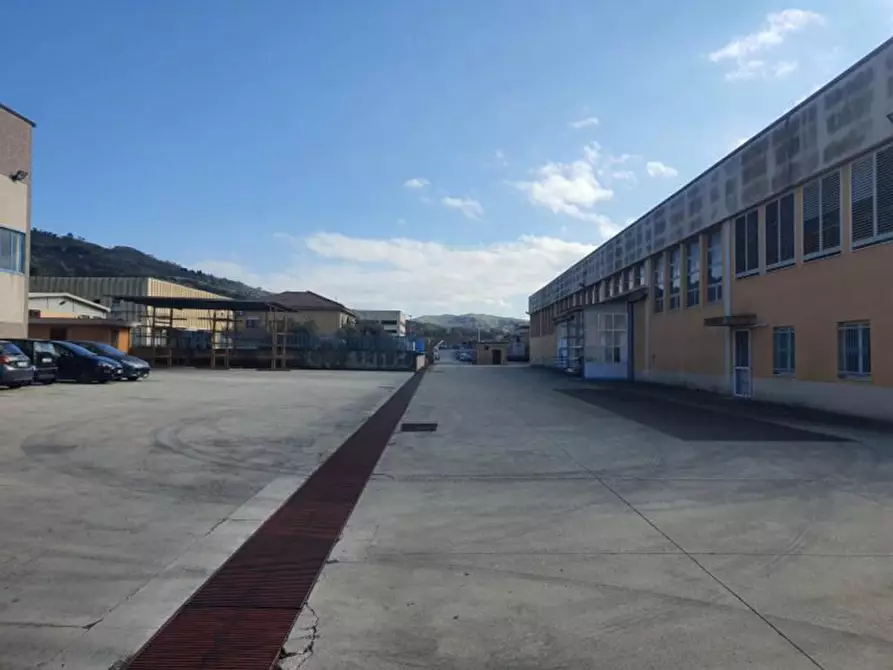 Immagine 3 di Capannone industriale in vendita  in località Sarrottino, N. snc a Tiriolo