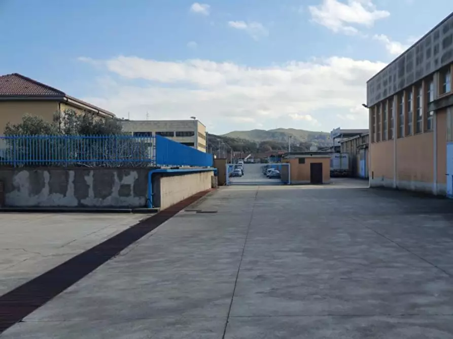 Immagine 5 di Capannone industriale in vendita  in località Sarrottino, N. snc a Tiriolo