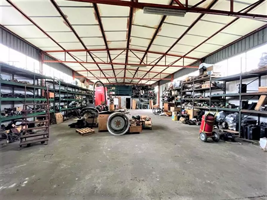Immagine 13 di Capannone industriale in vendita  in Via Roma, N. 16 a Nogarole Rocca