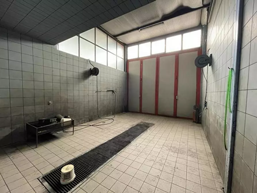 Immagine 19 di Capannone industriale in vendita  in Via Roma, N. 16 a Nogarole Rocca