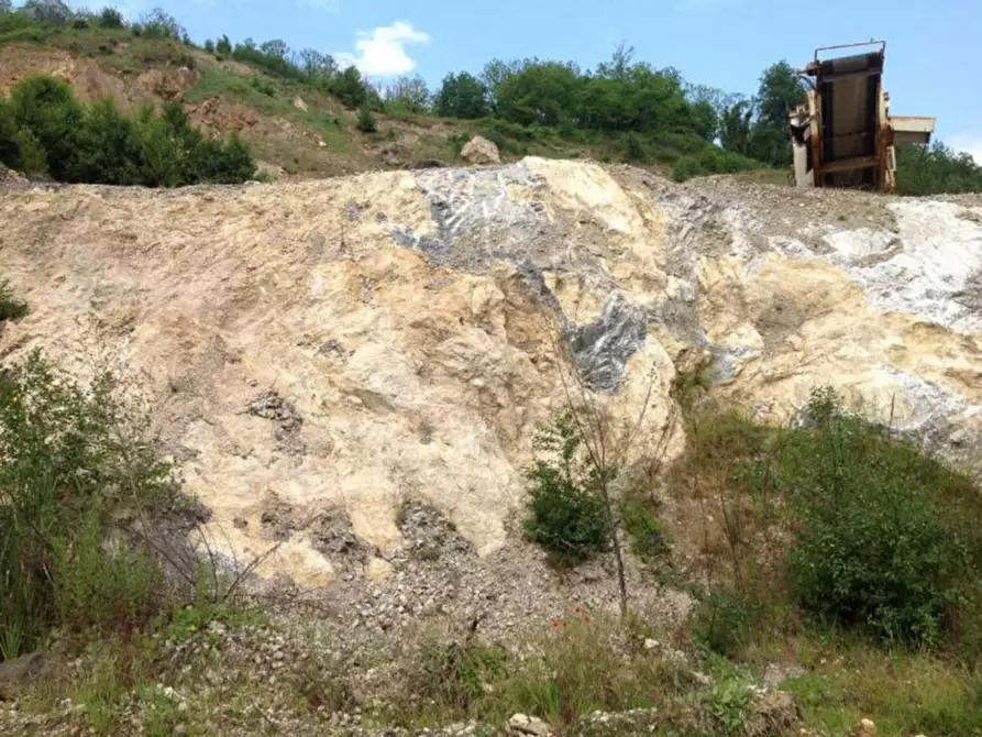Immagine 3 di Terreno in vendita  in SS 109 della Piccola Sila, N. snc a Cicala
