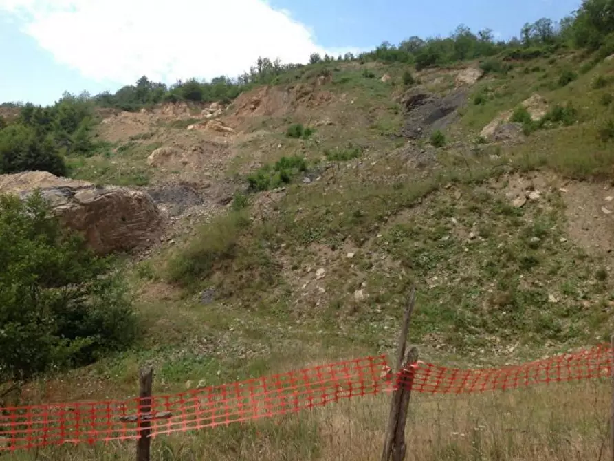 Immagine 4 di Terreno in vendita  in SS 109 della Piccola Sila, N. snc a Cicala