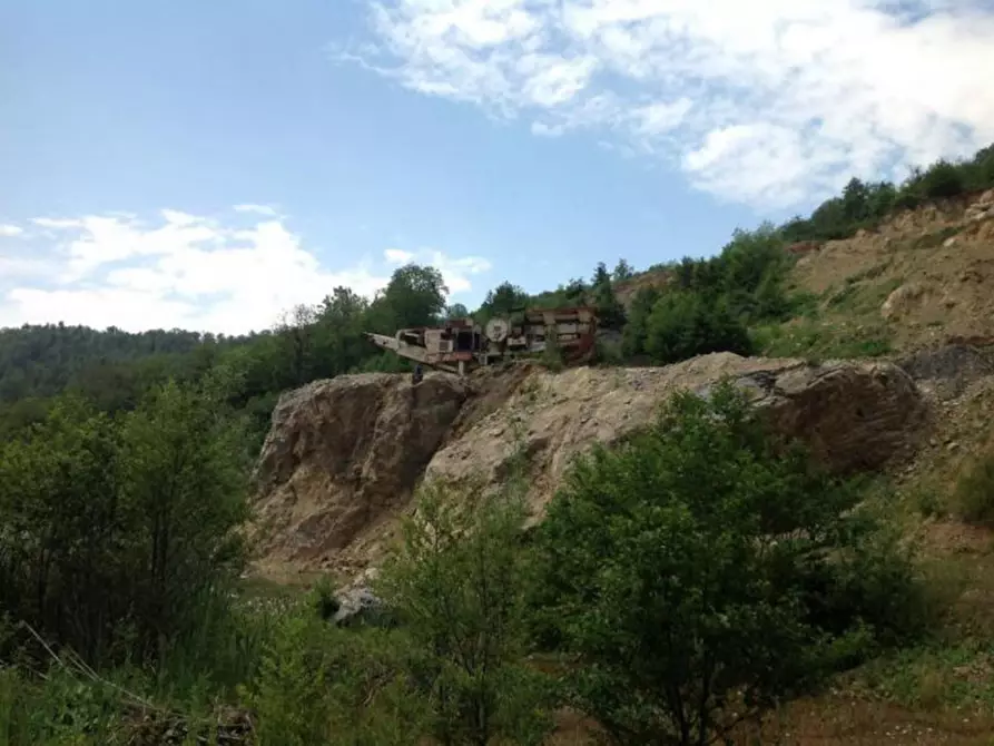 Immagine 5 di Terreno in vendita  in SS 109 della Piccola Sila, N. snc a Cicala