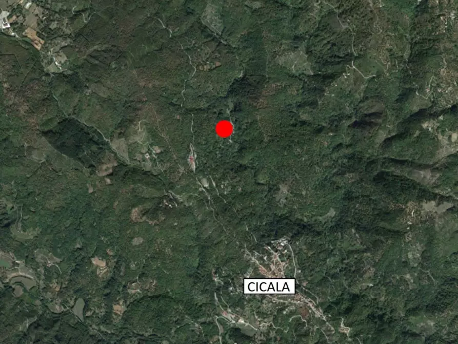 Immagine 11 di Terreno in vendita  in SS 109 della Piccola Sila, N. snc a Cicala