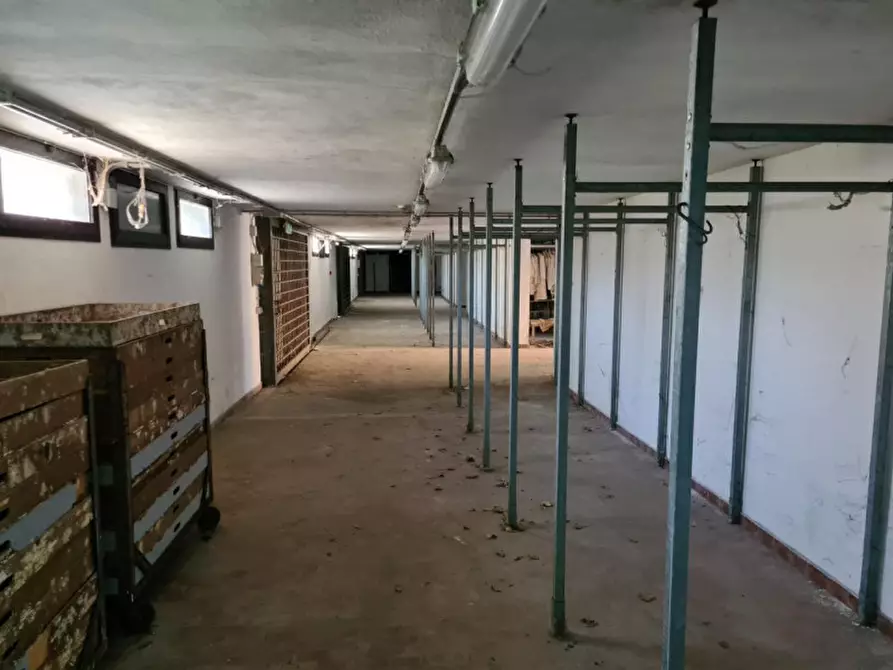 Immagine 1 di Capannone industriale in vendita  in frazione Fossona, N. snc a Cervarese Santa Croce