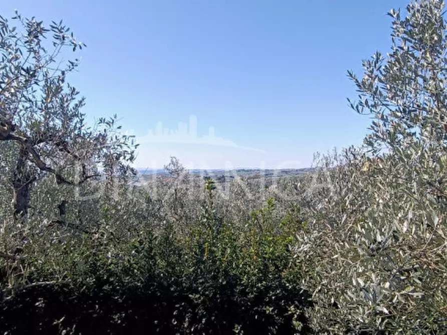 Immagine 2 di Rustico / casale in vendita  in via giovanni XXIII 1 vinci a Vinci