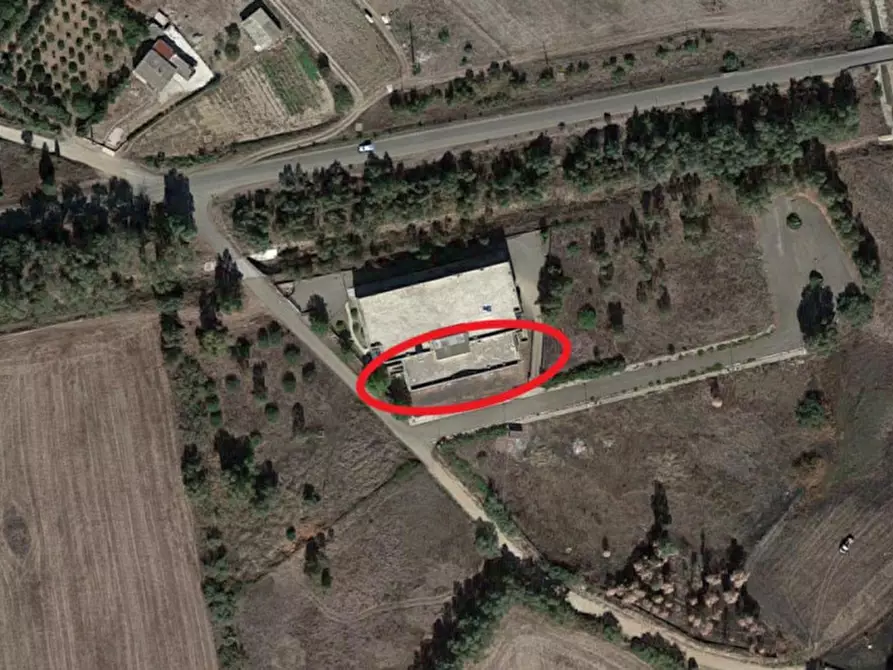 Immagine 2 di Negozio in vendita  in Località Cracaxia, N. snc a San Gavino Monreale