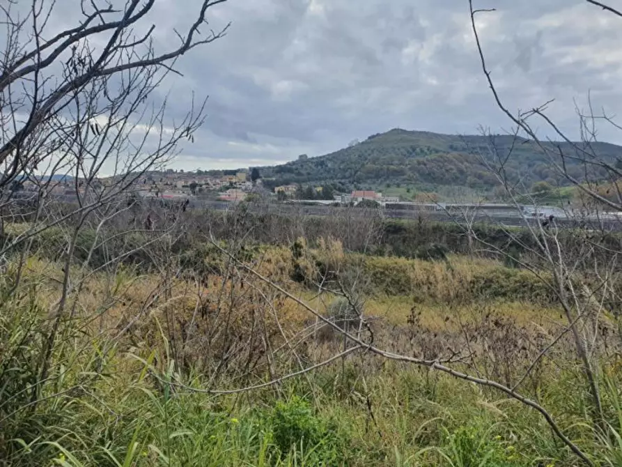 Immagine 3 di Terreno in vendita  in località Guidacciari, N. snc a Tiriolo