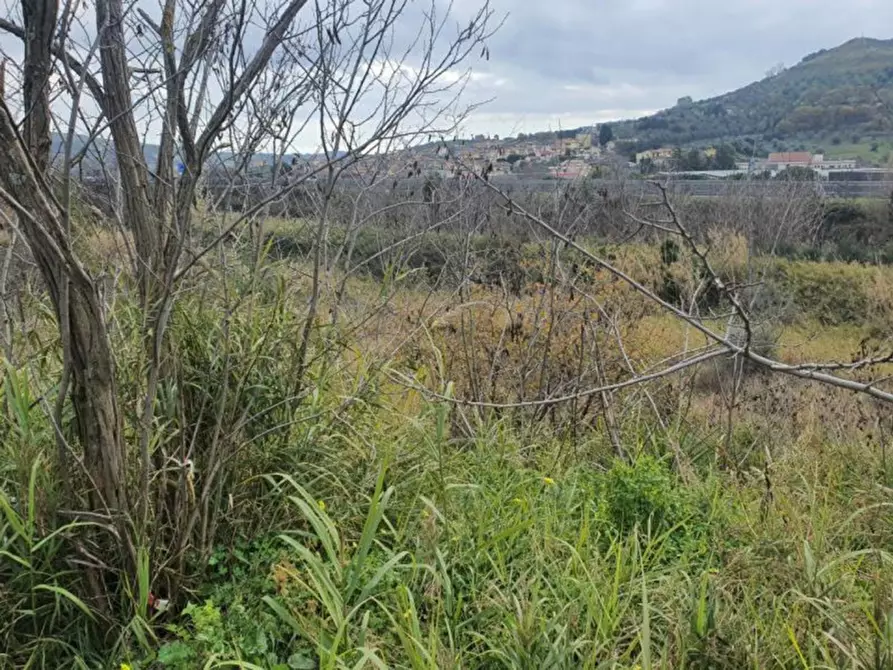 Immagine 4 di Terreno in vendita  in località Guidacciari, N. snc a Tiriolo